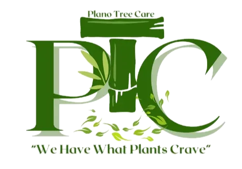 Plano Tree Care