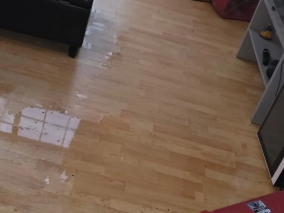 Standing water across a laminate wood-look floor in a living room after a leak, with an air mover in the corner